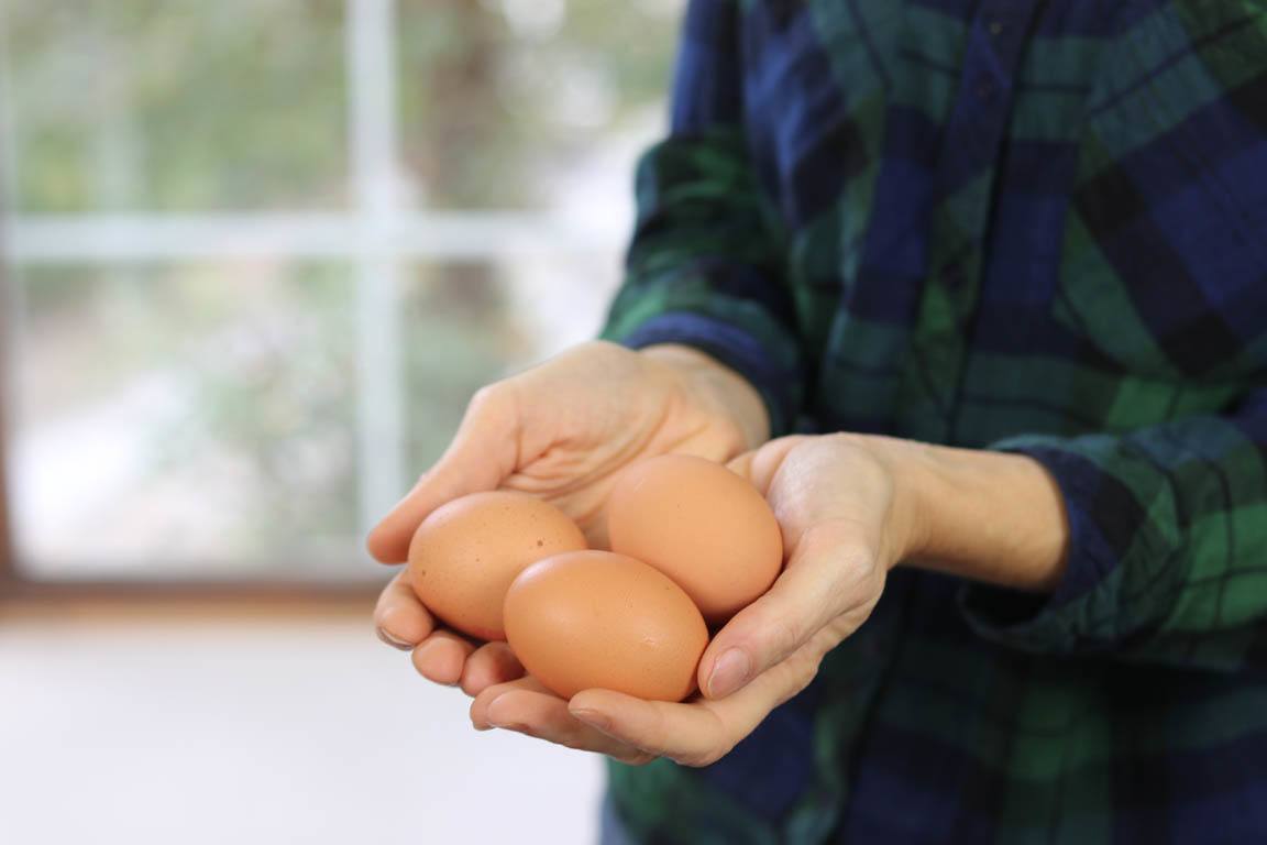 E073A-Mito-alimentario-No-comas-huevos-que-te-va-a-subir-el-colesterol_Simple-Blending