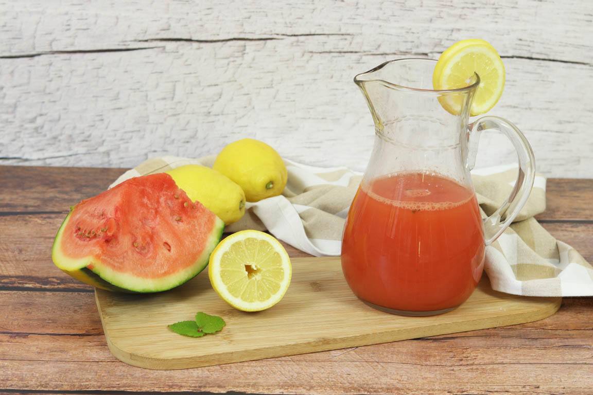 1195A-Limonada-de-sandia-con-menta_Simple-Blending